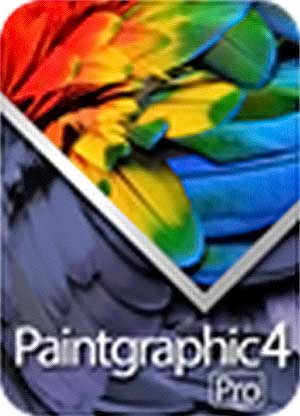 Paintgraphic 4 Pro